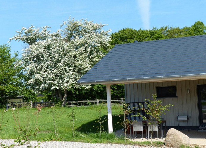 Haus Birke