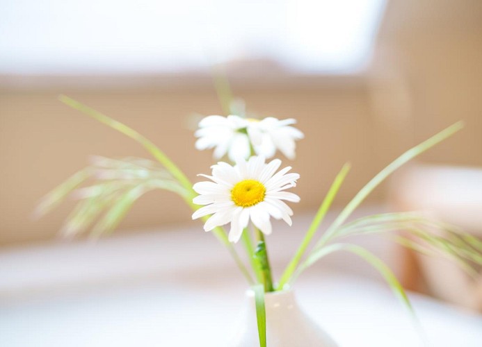 Wohnung Mohnblume