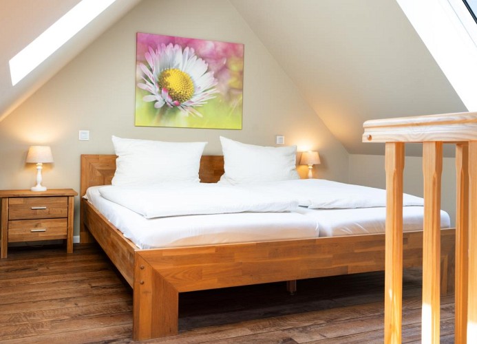 Wohnung Gänseblümchen